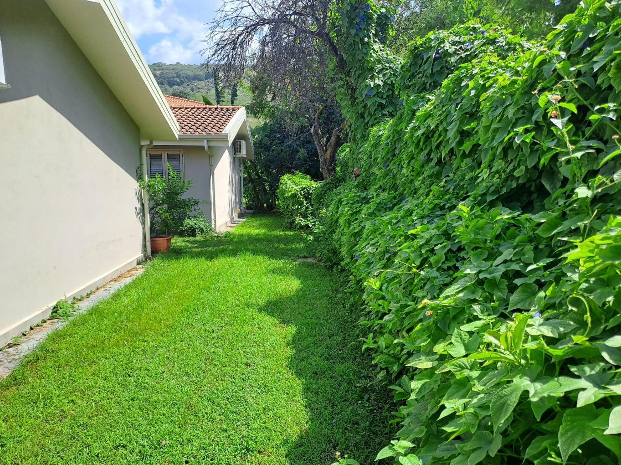 זמברונה Residence Bidreams מראה חיצוני תמונה