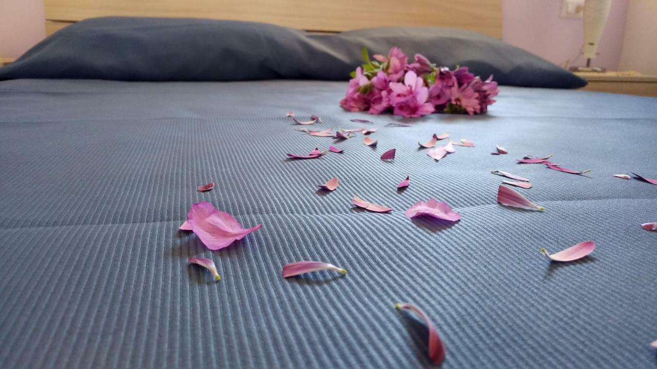 זמברונה Residence Bidreams מראה חיצוני תמונה